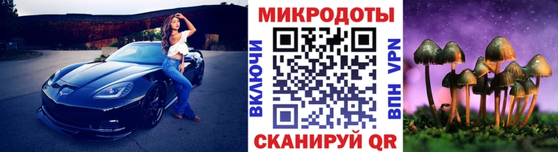 где купить наркотик  Курлово  Галлюциногенные грибы MAGIC MUSHROOMS 
