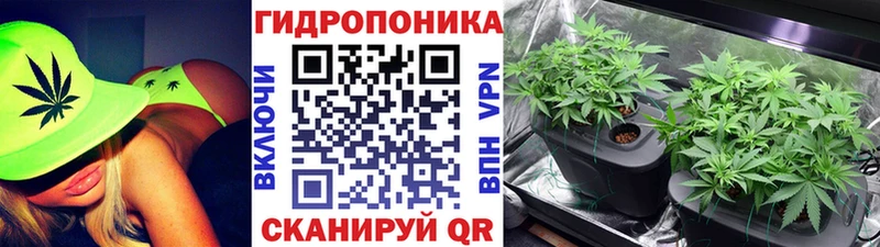Бошки марихуана планчик  Курлово 